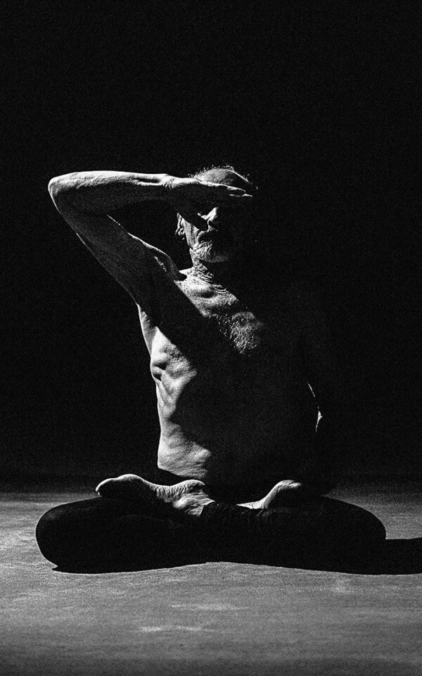Complete Shadow Yoga: Practical & Lectures