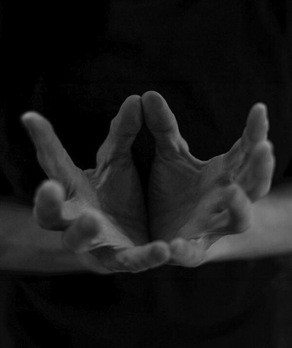 YFM_mono
